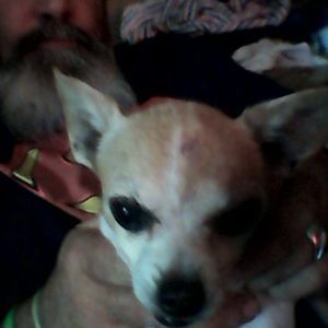 Meet your Posher, Brandy